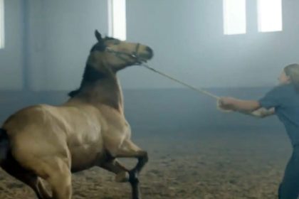 uniqua – think & allongies