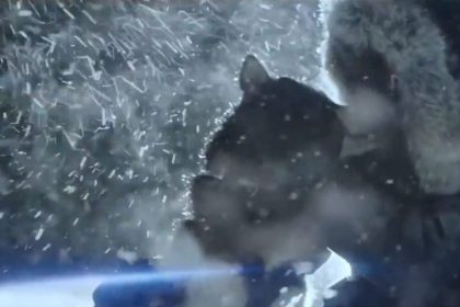 brillux gmbh & co – polarweiss