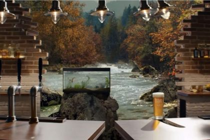 heineken – wild lager – blue ridge